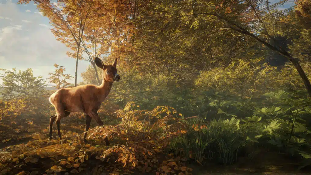 theHunter: Call of the Wild Kısa Süreli Ücretsiz – theHunter Call of the Wild